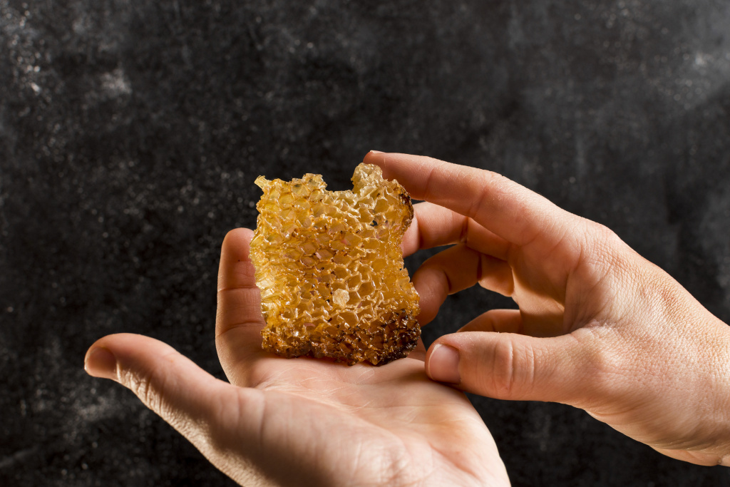 4qupgn_hands-holding-honeycomb.jpg
